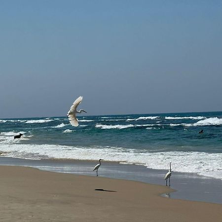 Go To Apartments In Leonardo Bat Yam Buitenkant foto